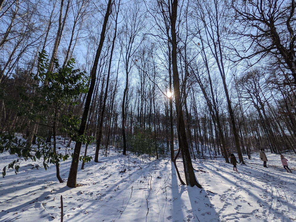 PXL_20210210_115811627.jpg
