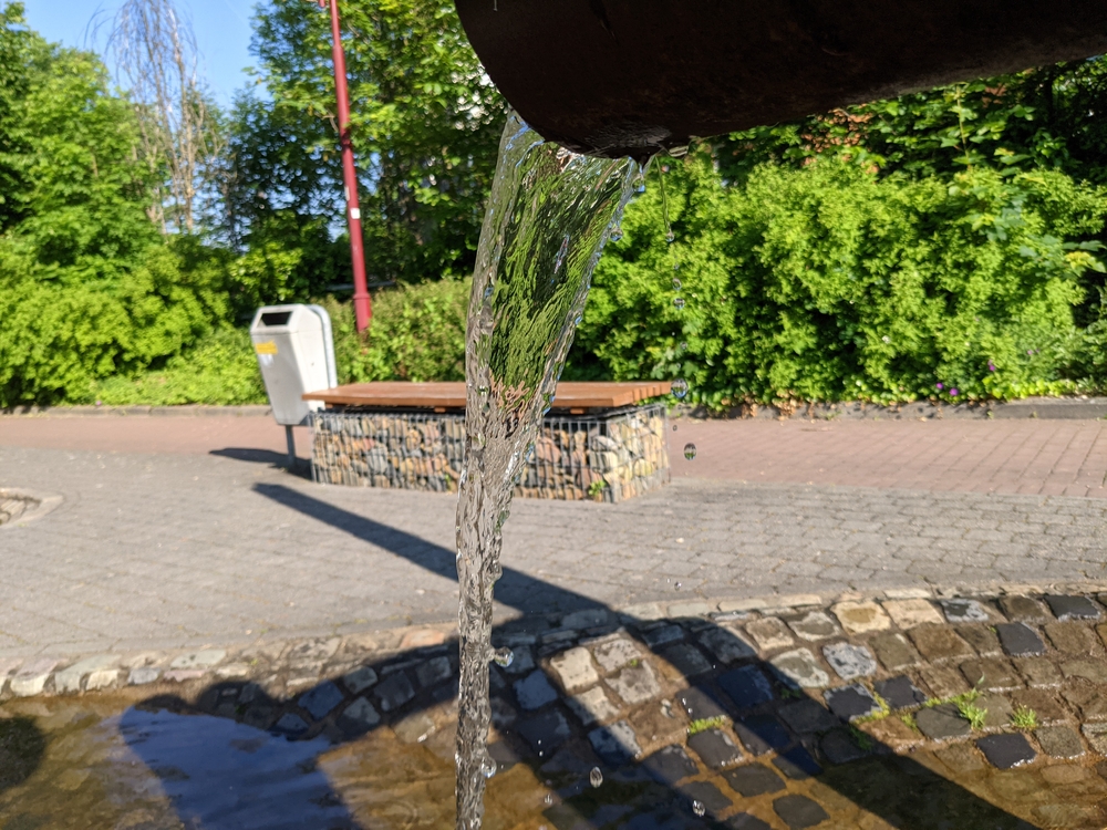 PXL_20210610_065201736.jpg