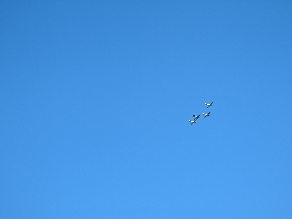 PXL_20210814_114147507.jpg