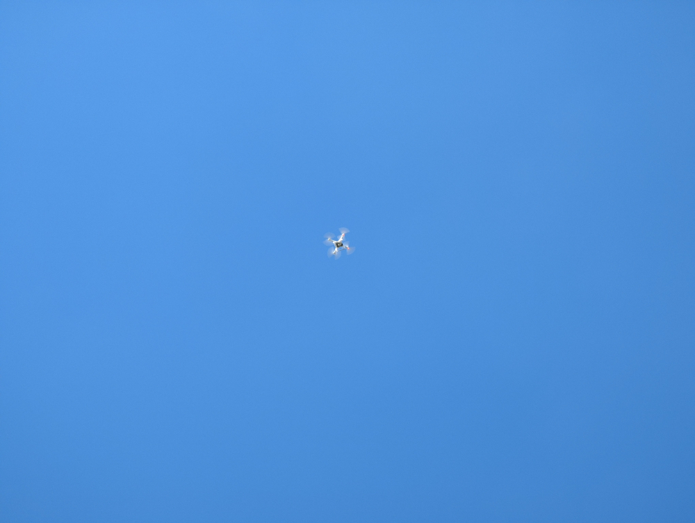 PXL_20210917_100508179.jpg