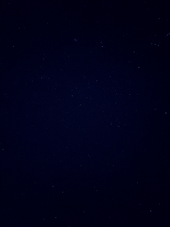 220E214D-8D80-4F93-840F-6221F180EEC2.jpeg