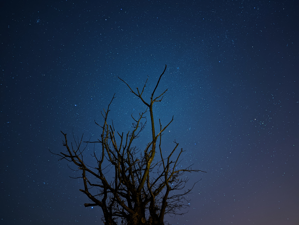 PXL_20220124_233450459.NIGHT1.jpg