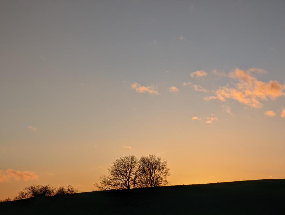 PXL_20220209_163400546.jpg