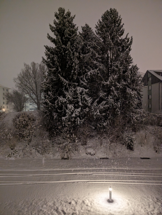 PXL_20221209_051730411.jpg