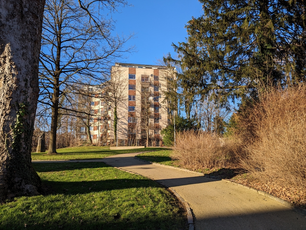 PXL_20230207_145759186.jpg
