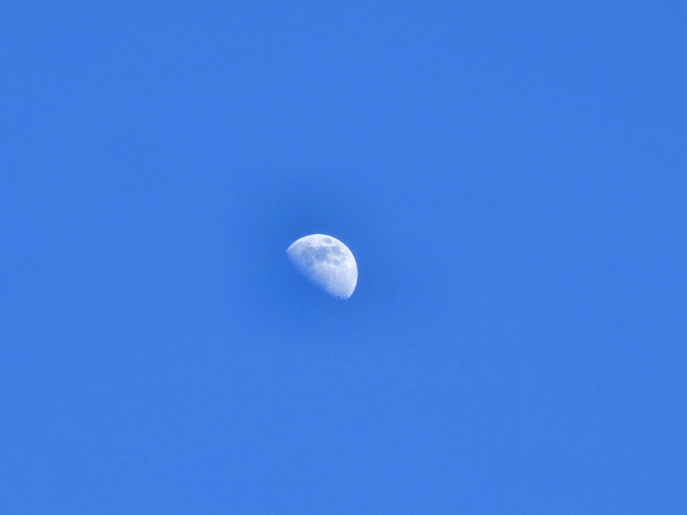 20230330_185911.jpg