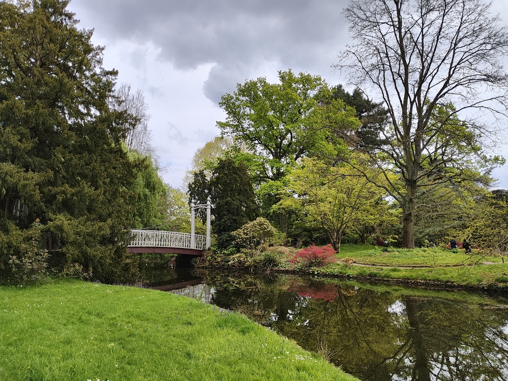 IMG_20230422_163806302_HDR.jpg