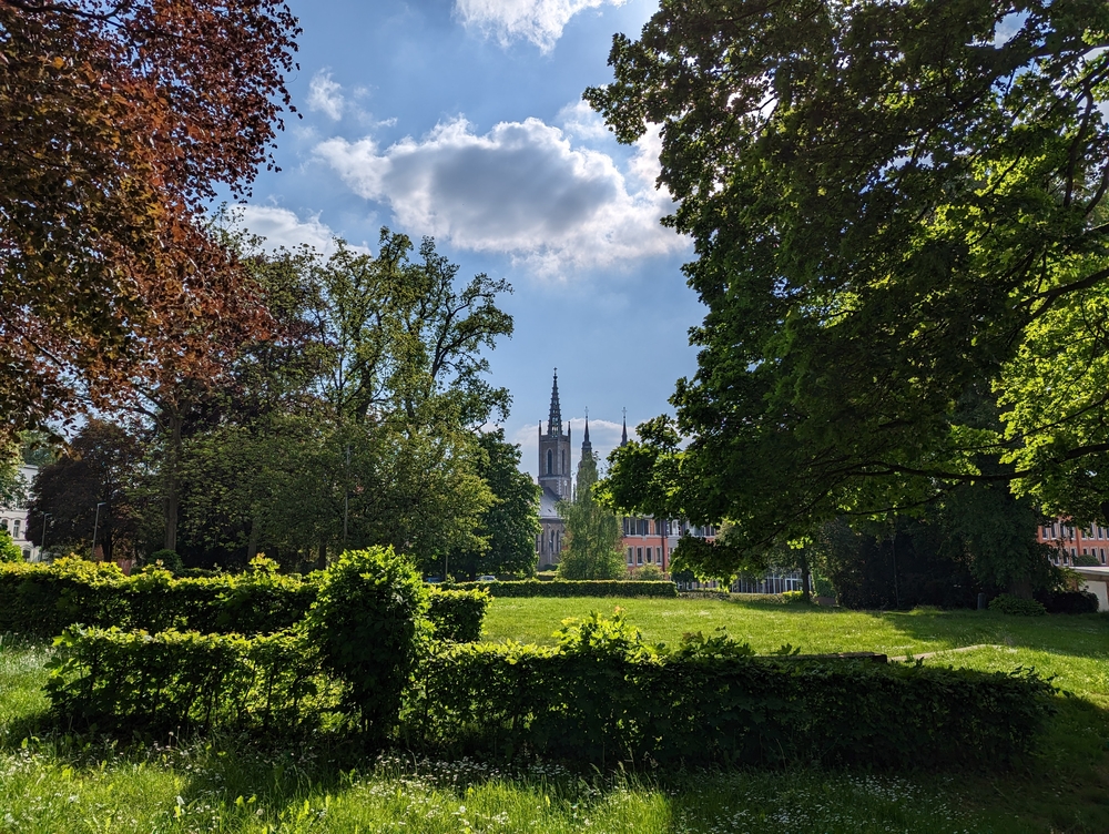 PXL_20230525_153405154.jpg