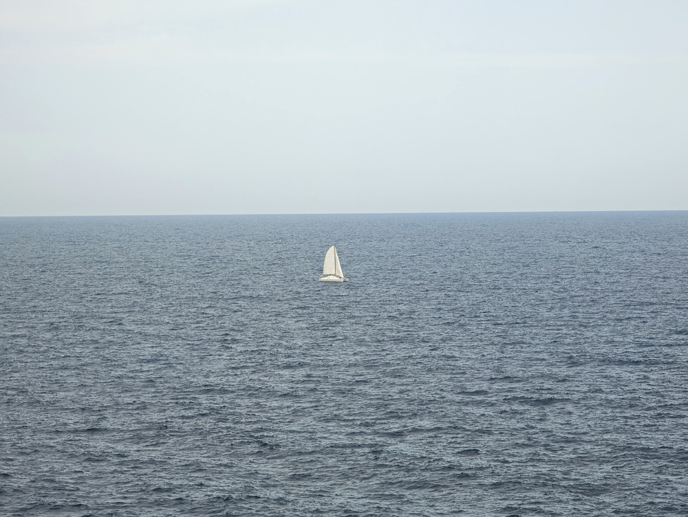 PXL_20230618_122423072.jpg