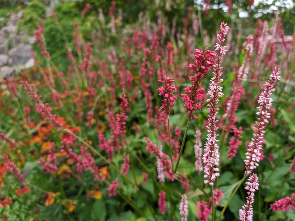 PXL_20230809_111439785.jpg