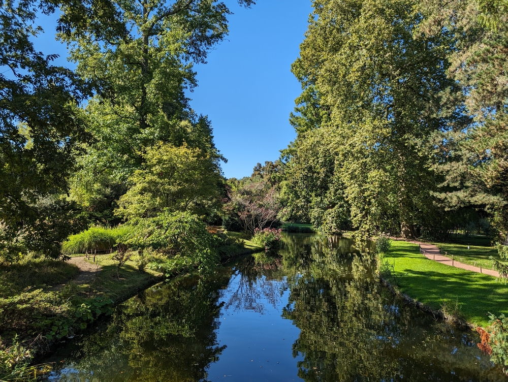PXL_20230924_113702978.jpg