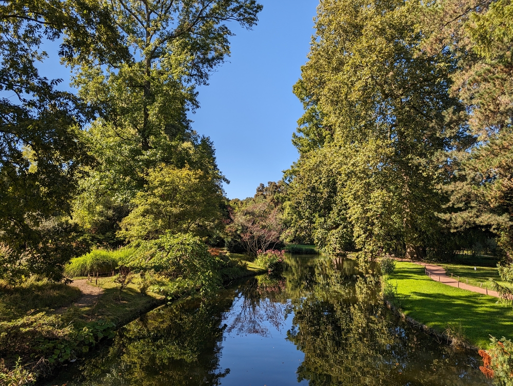 PXL_20230924_113713370.jpg