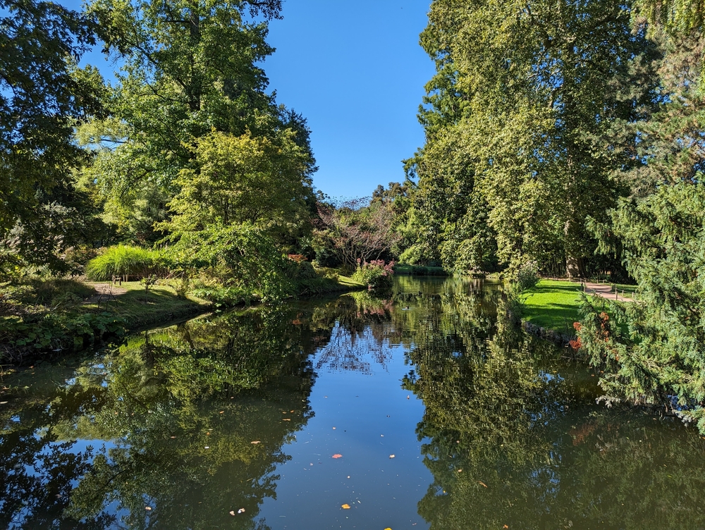 PXL_20230924_114051074.jpg