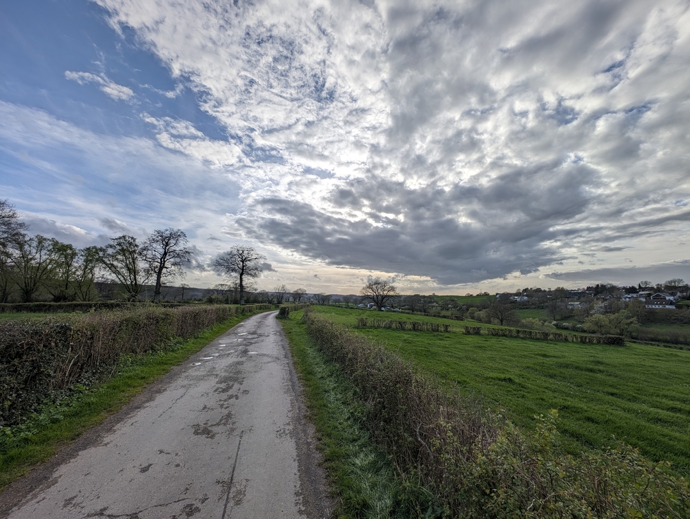 PXL_20240404_162412153.RAW-01.COVER.jpg