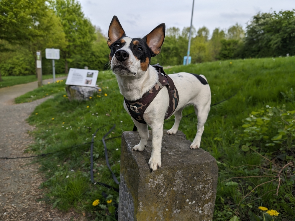 PXL_20240414_151312084.RAW-01.COVER.jpg