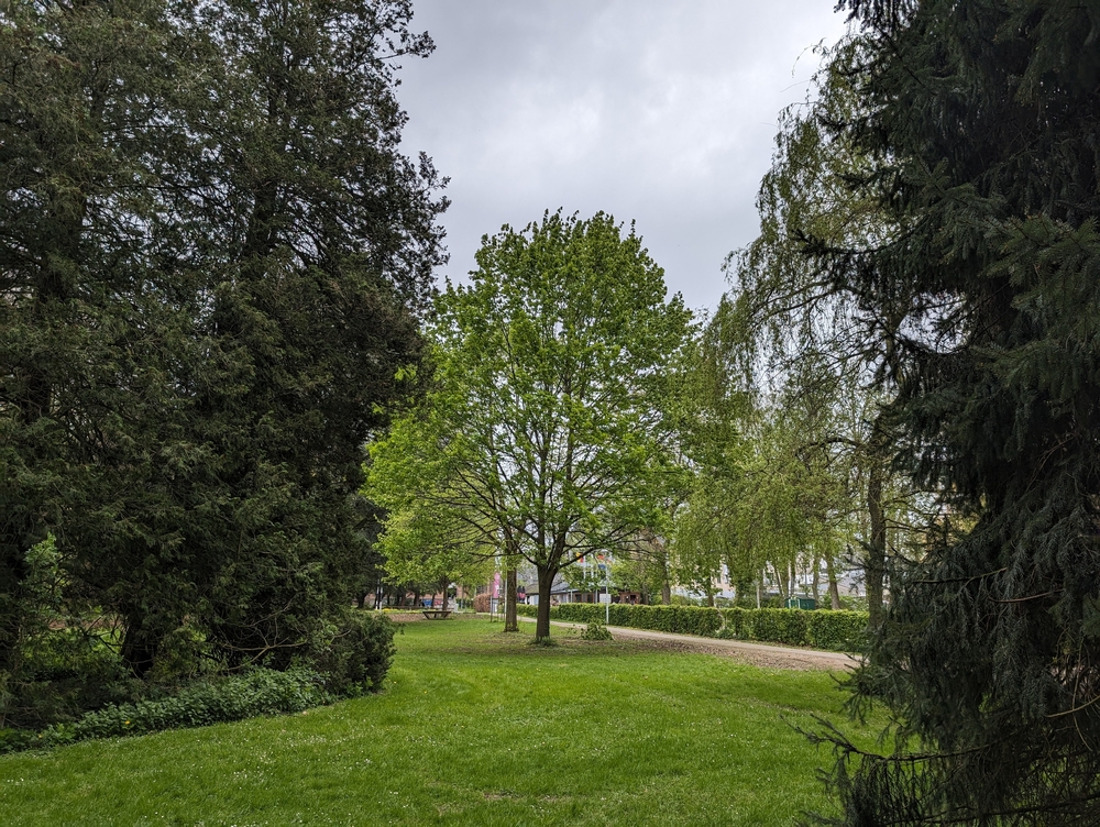 PXL_20240415_130642430.RAW-01.COVER.jpg