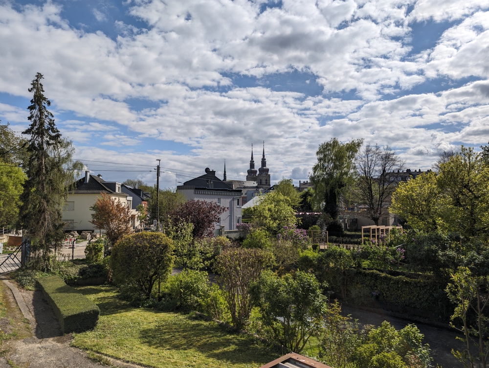PXL_20240418_143839912.RAW-01.COVER.jpg