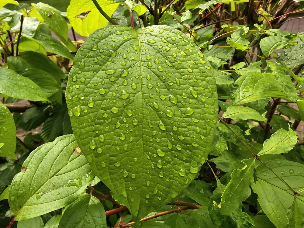 20240527_162711.jpg