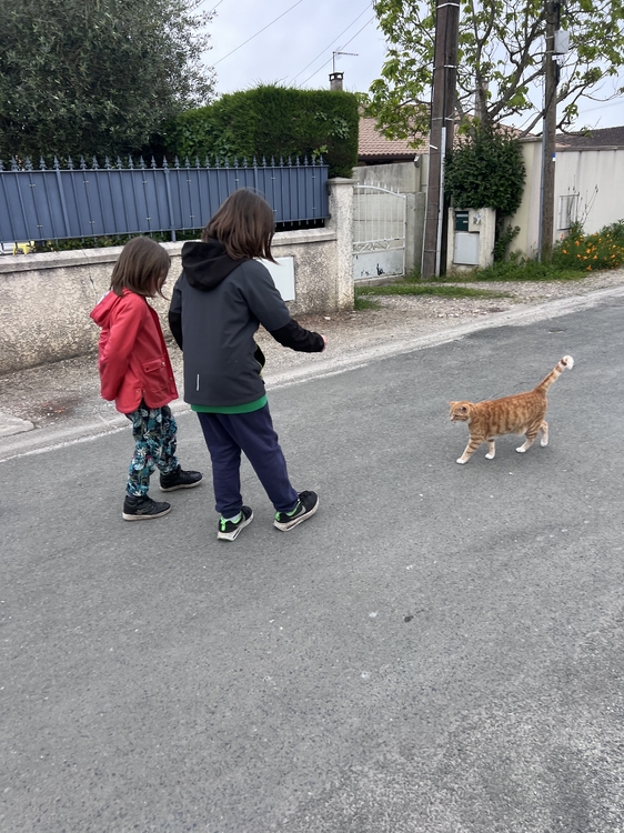 IMG_3739.jpeg