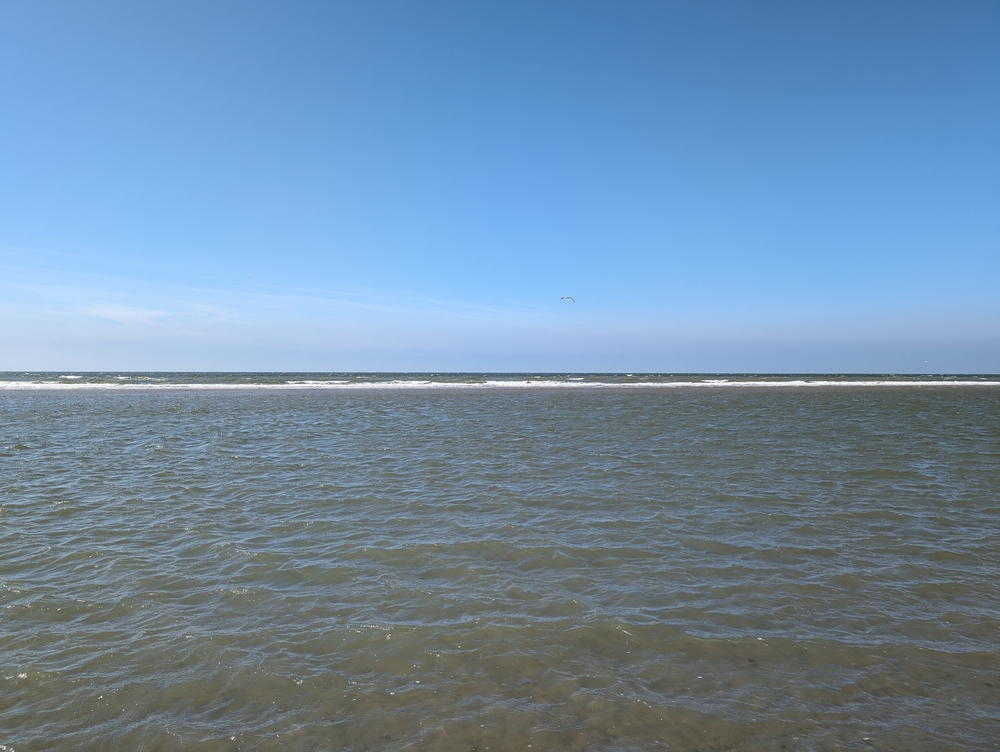 PXL_20240507_141339789.jpg