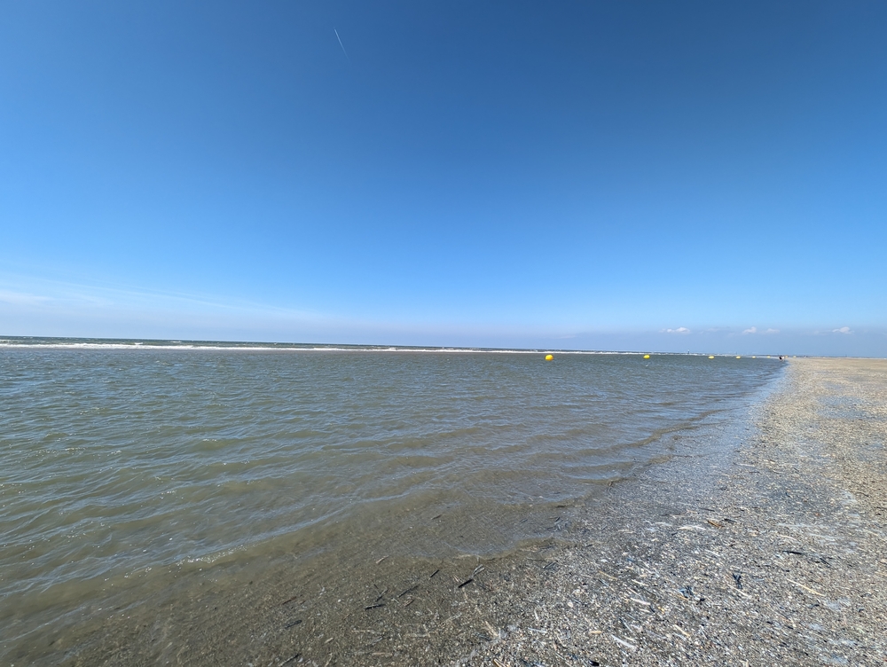 PXL_20240507_141342808.jpg