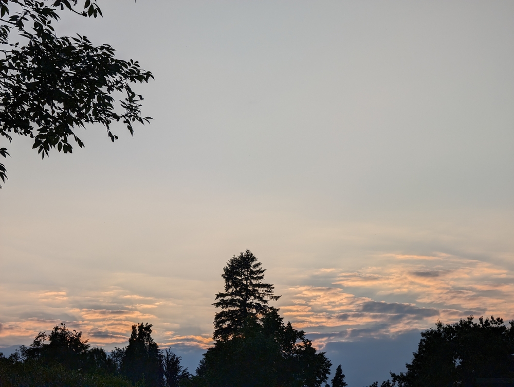 PXL_20240606_192024023.jpg