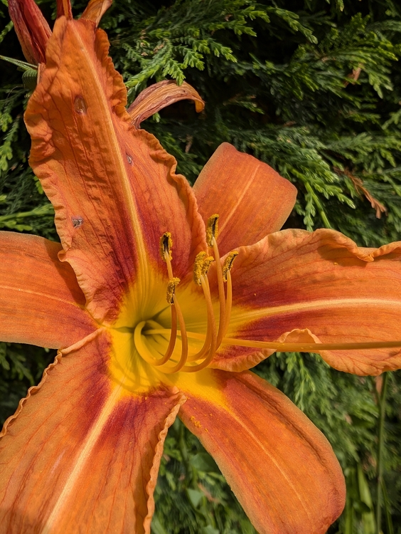 PXL_20240629_140227708.thumb.jpg.a77e9dad6aa17818b40083dfddd9b81b.jpg