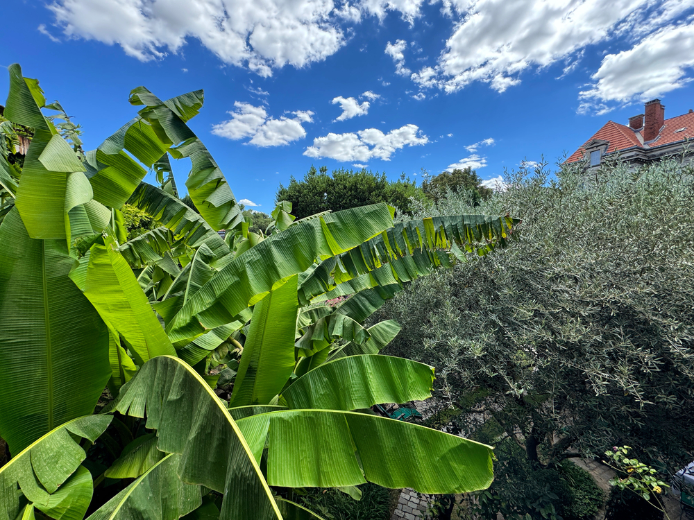 10A4C59D-5585-4DF3-B13E-42655B553A4B.jpeg