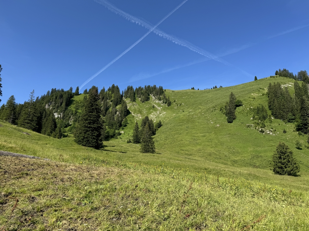 IMG_9397.jpeg
