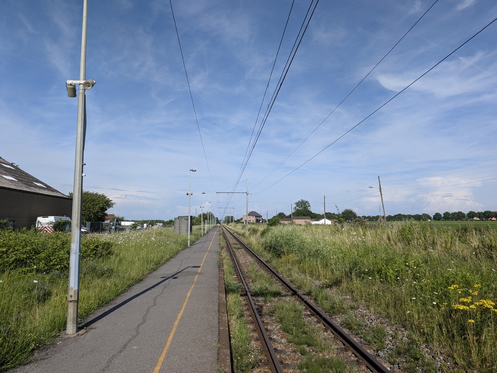 PXL_20240720_154710246.jpg