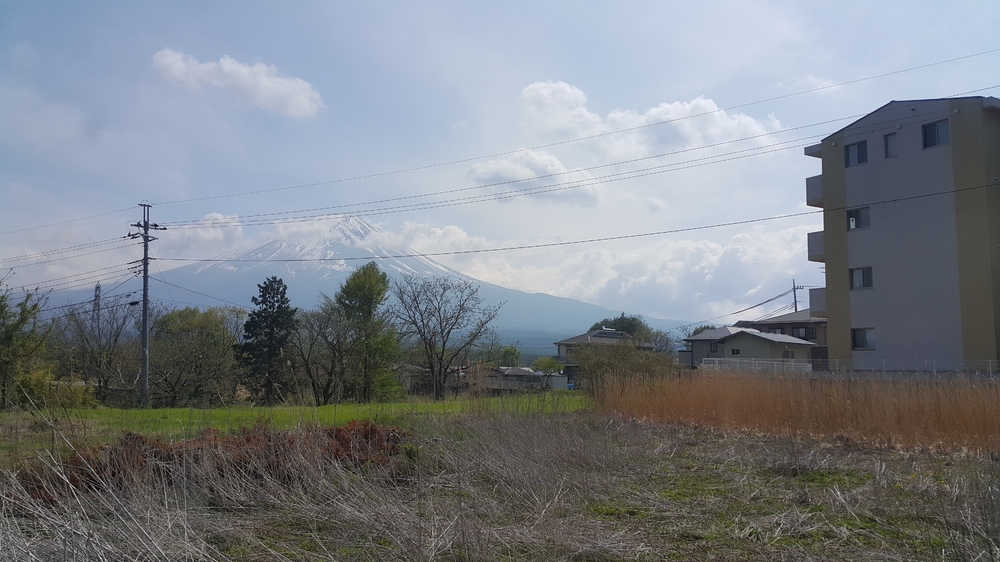 20150429_135647.jpg