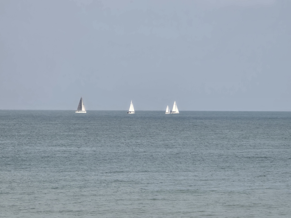 20240819_124306.thumb.jpg.f1af5d386dd3d5168d5f1e23880f9374.jpg