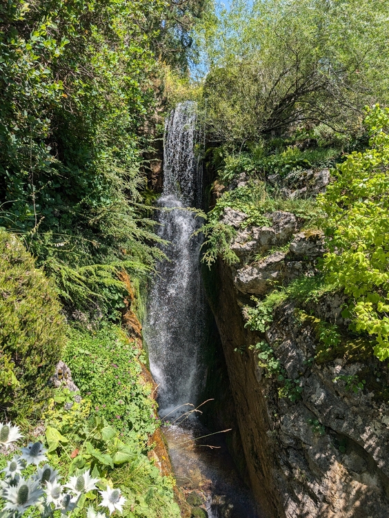 PXL_20240720_122545000.jpg