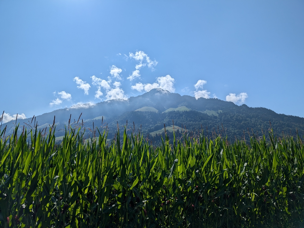 PXL_20240725_084851065.jpg