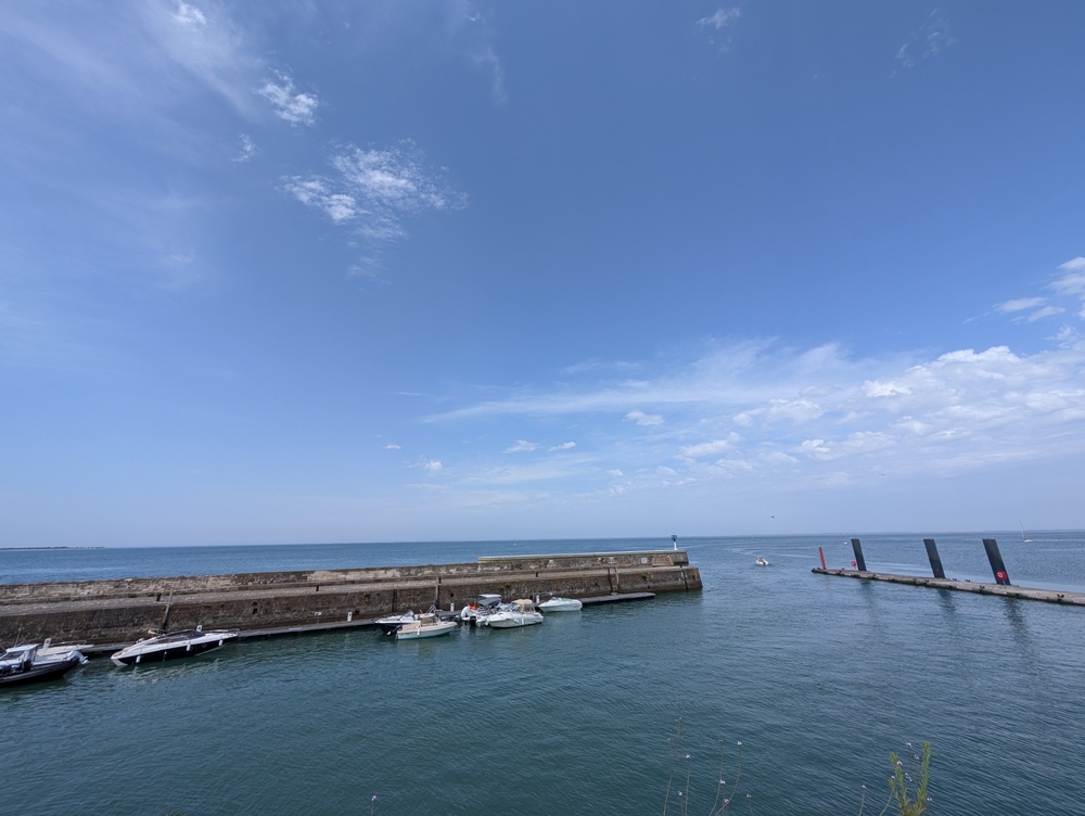 PXL_20240730_124742883.jpg