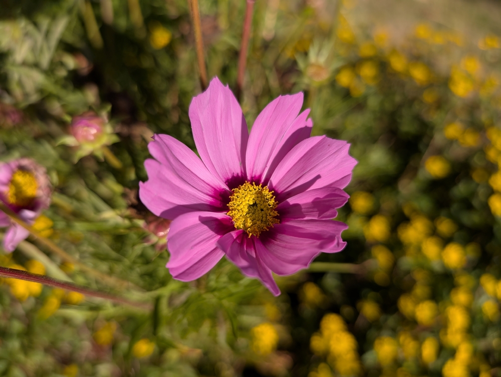 PXL_20240825_152019045.jpg