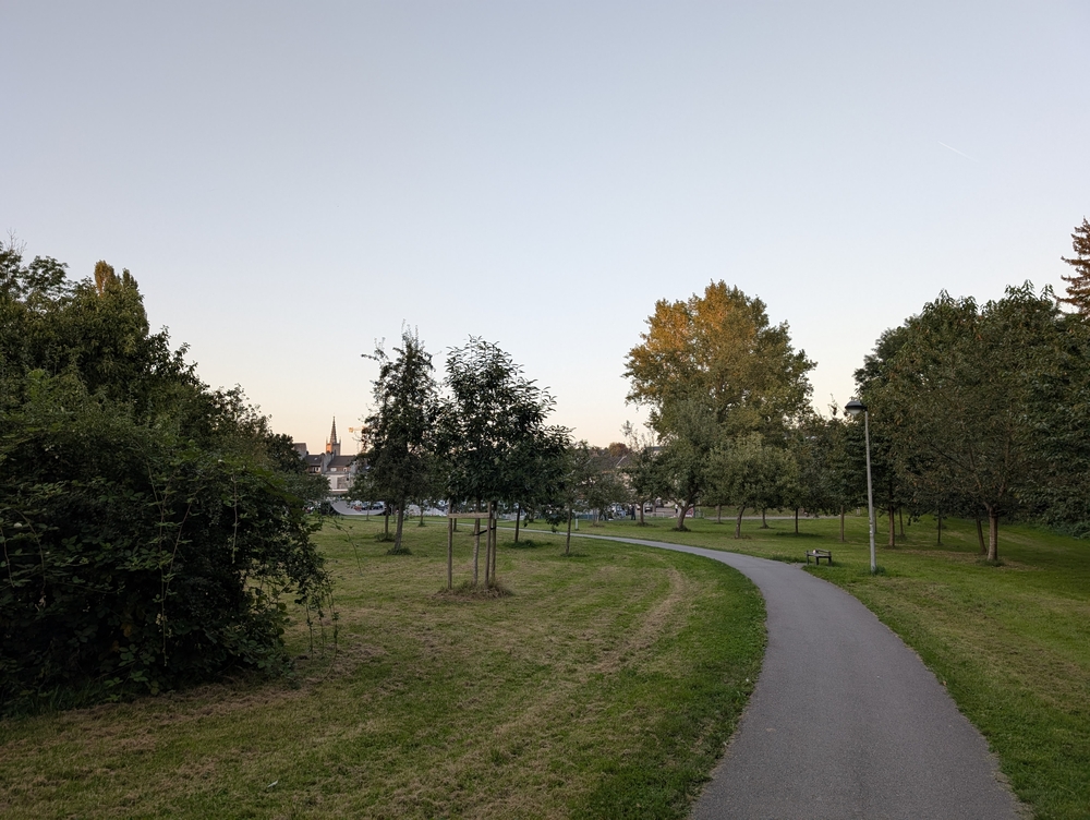 PXL_20240828_180910271.jpg