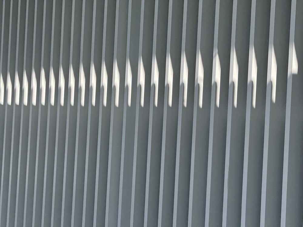 IMG_0353.jpeg