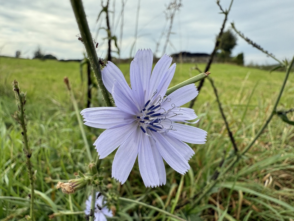 IMG_6123.jpeg