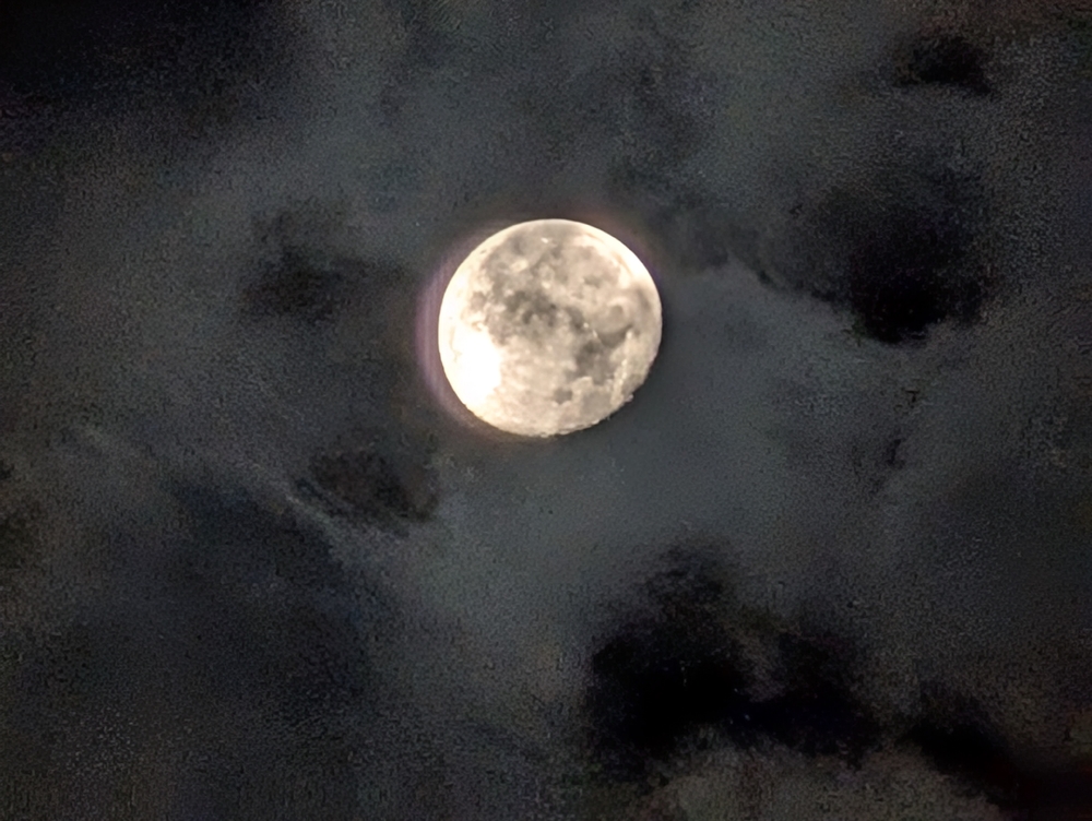 PXL_20240920_044309285.jpg