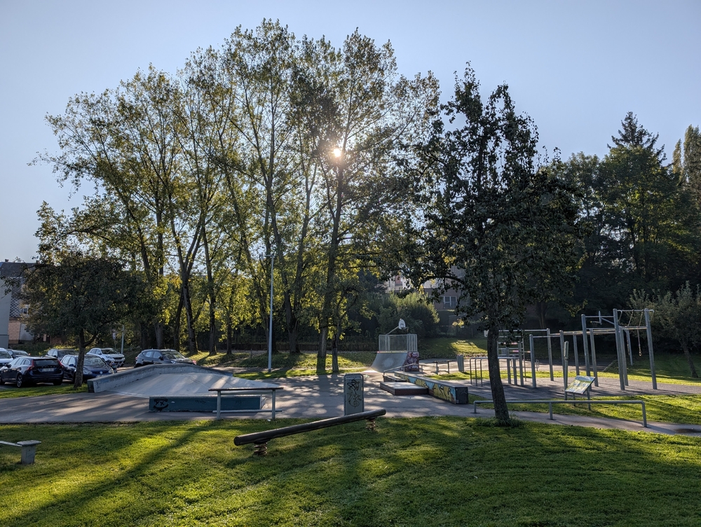 PXL_20240920_074841847.jpg