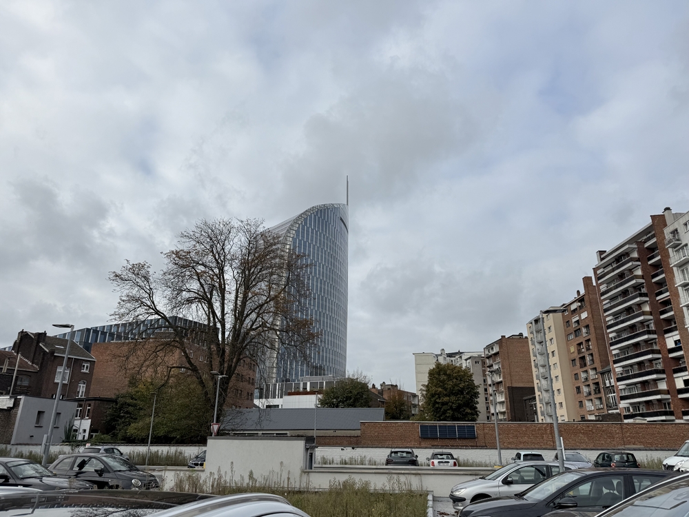 IMG_2890.jpeg