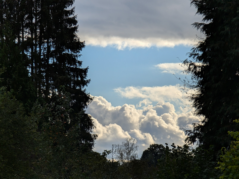 PXL_20241001_145839538.jpg