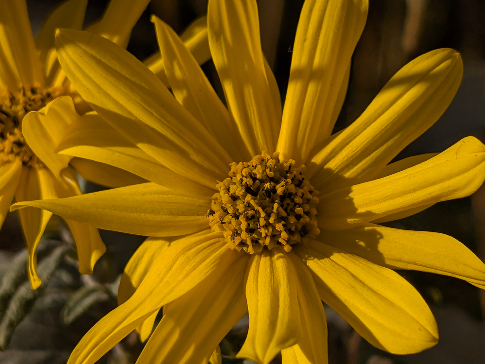 PXL_20241005_145442718 (1).jpg