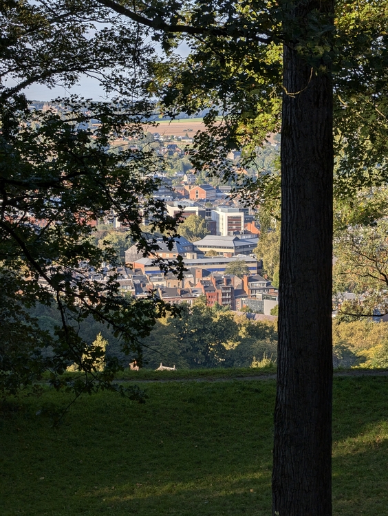 PXL_20241005_151205992.thumb.jpg.cfe43665e284210c3879863867c9c0b2.jpg