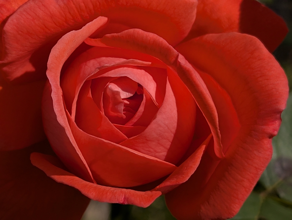 PXL_20241006_132709967.jpg