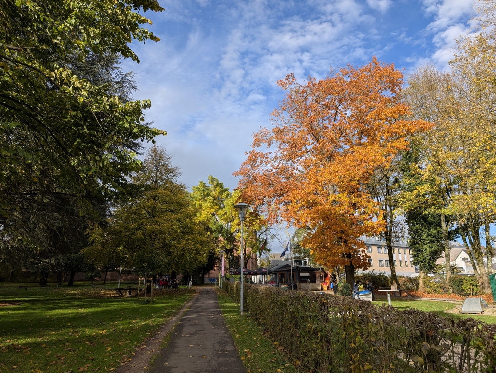 PXL_20241019_133248284.jpg