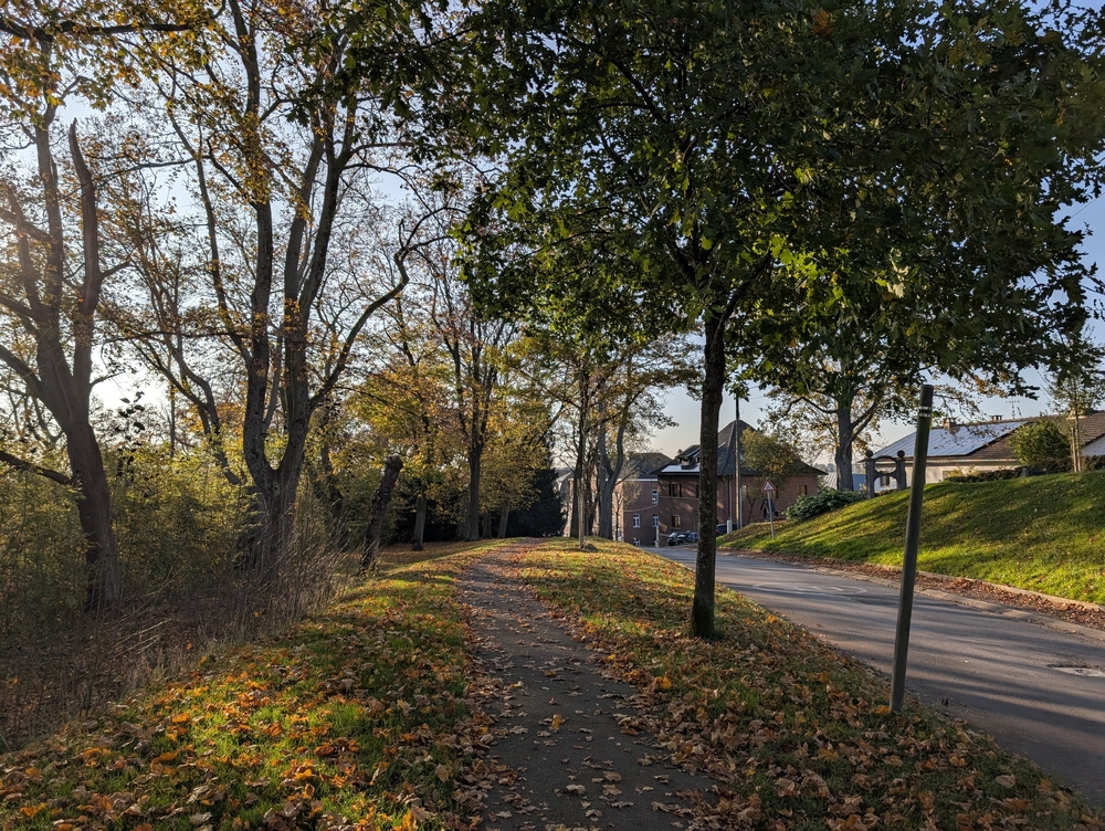 PXL_20241031_141705565.jpg