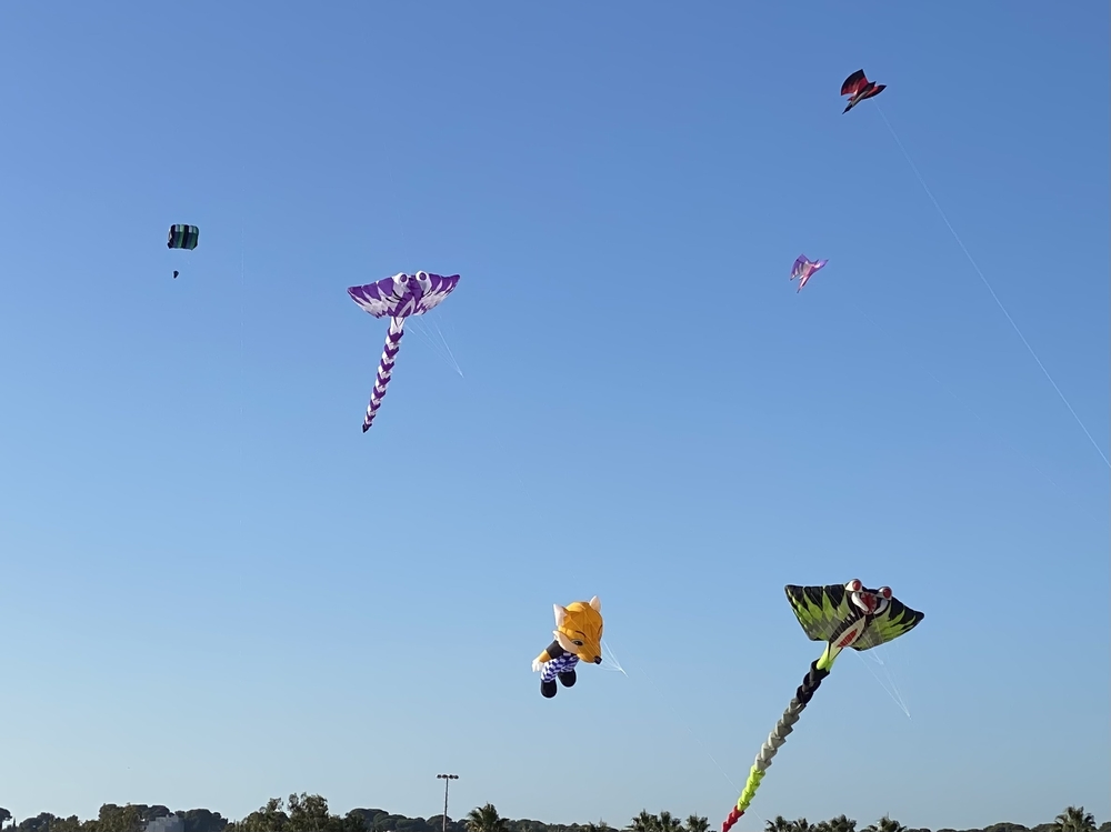 IMG_8395.thumb.jpeg.d4688f2970b98219b25434b330d63521.jpeg