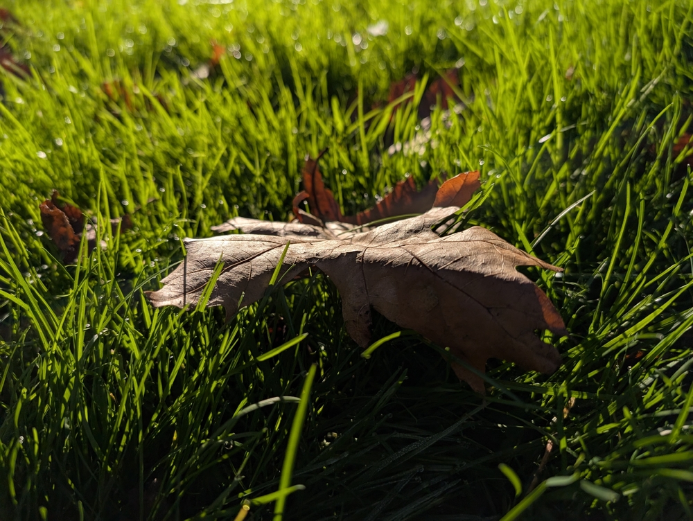 PXL_20241105_140759230.jpg